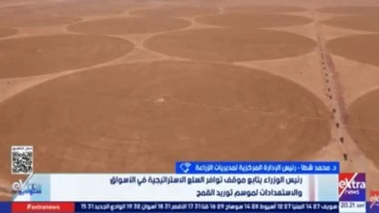 مصر تستهدف توريد 5 ملايين طن قمح وتؤمن احتياطي استراتيجي لسبعة أشهر